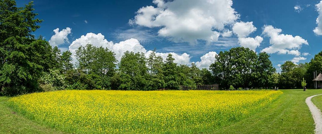 Eindpresentatie Curringherveld ‘Tussen Kunst en Curry’